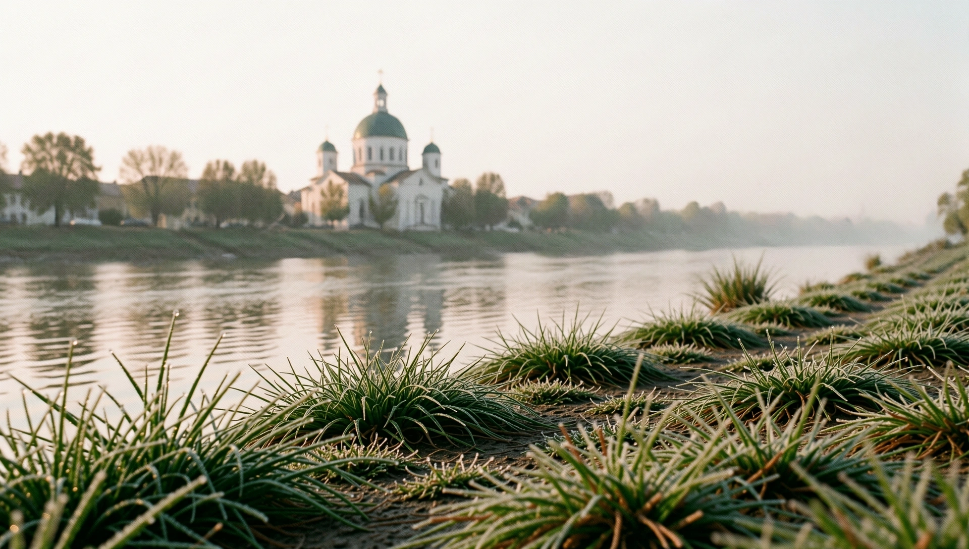 Peisaj local Timișoara